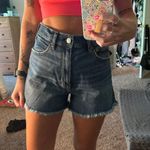 American Eagle Outfitters Shorts Photo 0