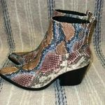 A Rider Girl Snake Print Ankle Boots Size 7 Photo 1