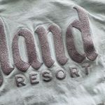 Disney Unisex Disneyland Park Resort Rare Blue GlitterSpirit Jersey Size Small Bounding Photo 6