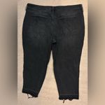 Terra & Sky  size 24W Photo 4