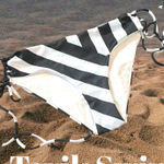 Tavik reversible bikini bottom blue black cabana stripe size S New White Photo 1