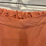 Bryn Walker  Tencel‎ Flood Pants Orange Copper Lagenlook Wide Leg Size Large NWT Photo 2