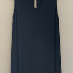 Wilfred Aritzia  Black V-Neck Shift Dress Size Small Photo 0