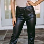 These Three Boutique leather pants Photo 0