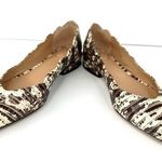 Chloé Laurena Croc Lizard Embossed Animal Scalloped Leather Ballet Flats 35.5 Photo 9