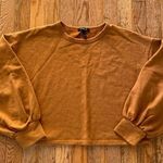 Carmel brown cropped sweater Photo 0