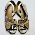 Aquatalia Women's Slingback Snake Print Sandal Multicolor Brown Black Size 5 Photo 0