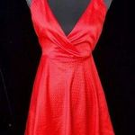 ZARA Red Polka Dot Skater Dress Open Back Photo 0