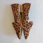 Olivia Miller  Leopard Print Slip On With Bow 7 Photo 1