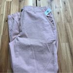 NWT GAP Women’s Pink Tapered Pants – Size 14 Photo 3