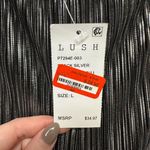 Lush Clothing Lush Black and Silver Pleated Pants Photo 2