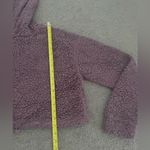 Active USA  Sherpa Faux Fur Teddy Cropped Hoodie Sweatshirt Photo 7