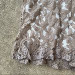 Adrianna Papell  Lace Long Sleeve Gown Photo 3