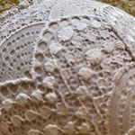 Victoria's Secret Victoria Secret T-Shirt Push
Up Bra Full Coverage Adjustable Straps SZ 34DD Photo 6