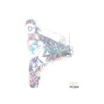 Swiminista Christian Lacroix Daring Bikini Josephine Is Busy Print NWT Photo 2