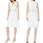 Calvin Klein NWT Off White Ribbon-Trim A-Line Knee Length Dress Women’s Size 6 Photo 14