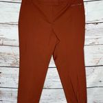 Jones Studio  NWT Size 24W Rust Orange Regular Rise Straight Leg Pants Photo 0
