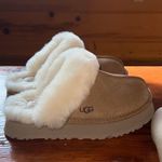 UGG disquettes Photo 0