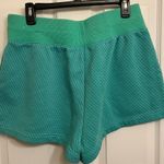 Nike  Like-New Women's size Large Teal & Blue Fleece Shorts Photo 1