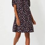 Ann Taylor  | Animal Print Puff Sleeve Shift Dress Size Medium NWT Photo 6