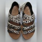 Sorel Lake Shore Horse Hair Sandal Shoe Rare
Women's Size 8.5 Leopard P… Photo 7