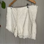 Loft Ann Taylor  The Riviera Shorts Photo 1