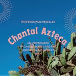 Pilcro and the Letterpress by Anthropologie Femme Denim Jumpsuit Romper Size 8P Photo 15