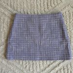 ZARA Mini Skirt Photo 0