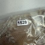  34DD Wacoal Embrace Lace Underwire Bra 65191 Beige Unlined Sheer Sexy Photo 14