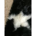 Women's White Star Pattern Lined Infinity Scarf Soft Fleece Black Photo 1