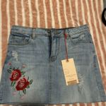 Denim Skirt Size M Photo 0