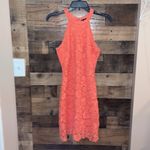 Lulus Lulu’s Love Poem Coral Orange Lace Mini Dress Photo 2