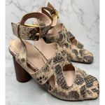 Cole Haan Womens Snakeskin Print Leather Ankle Strap Block Heel Sandals Size 11 Photo 1