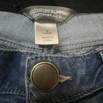 Christopher & Banks  Signature Slimming Denim Photo 1