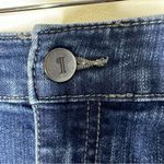 Pilcro and the Letterpress  Anthropologie Ruffle Back Denim Skirt Size 32 Photo 4