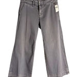 Anthropologie Pilcro and the Letterpress Gray Wide Leg Hyphen Low Rise Pants 27 Photo 0