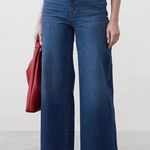 Banana Republic  | High-Rise Wide Leg Crop Cropped Jeans Denim | Size 34, US 18 Photo 0