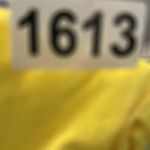 Free People FREE‎ PEOPLE MOVEMENT LEMON YELLOW HIGH WAST SHORTS THE WAY HOME Size XS Photo 6