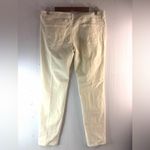 Garnet Hill  10P Cream Straight Leg Velvet Low Pile Velour Pants - Petite Photo 4