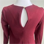 Banana Republic  Dress woman's Petite Burgundy Long Sleeve Ruffle Hem Dress Photo 4