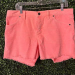 Carve Designs  Oahu Shorts Size 10 Photo 0