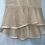 Gracia  Mesh Peplum Top Photo 3