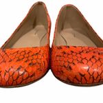 J.Crew Collection Janey Snakeskin Flats Photo 6