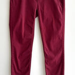 Calvin Klein Jeans  Red/Burgundy Skinny Ankle Pants, Size 8 Photo 0