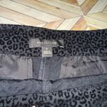 Ann Taylor ‎ Black Velvet Flocked Leopard Print High Waist Shorts Sz 10 Chic Fall Photo 1