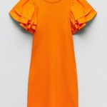 ZARA NWT Ribbed Ruffle Sleeve Mini Dress Photo 0