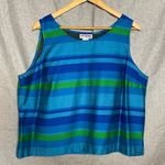 Perceptions Vintage Sleeveless Blouse Blue Green Stripe Size L 18 Photo 1