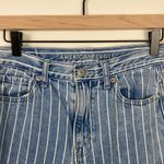 American Eagle Mom Jeans Retro Indigo Striped Blue Denim Women's Size 4 Photo 3