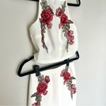 Rose Tank and Skirt Set Multiple Size XS Photo 1