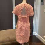 Women’s Pale Pink Lace Appliqué Short Sleeved Dress Size NWT Size L Photo 4